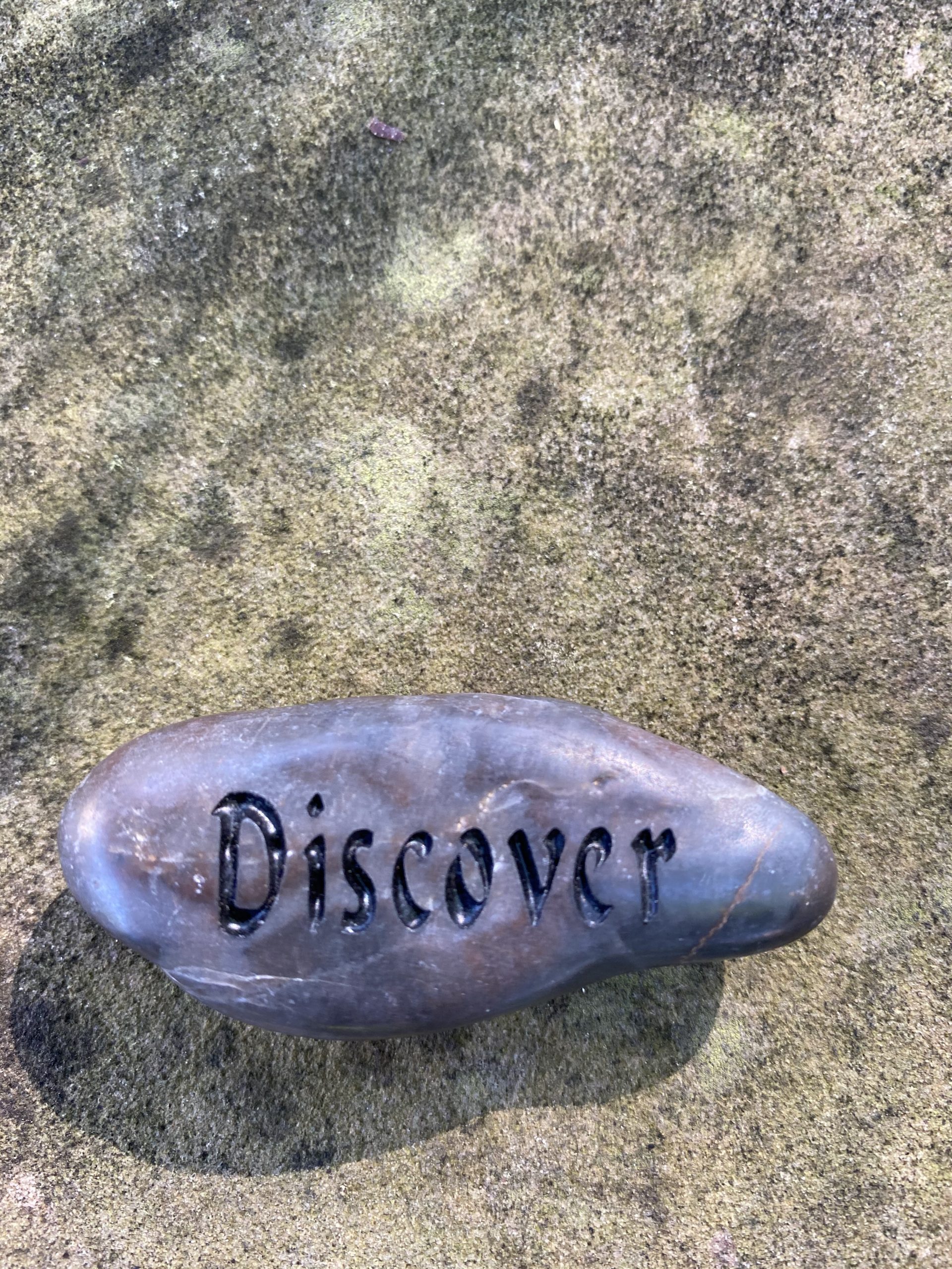 5-12 discover photo
