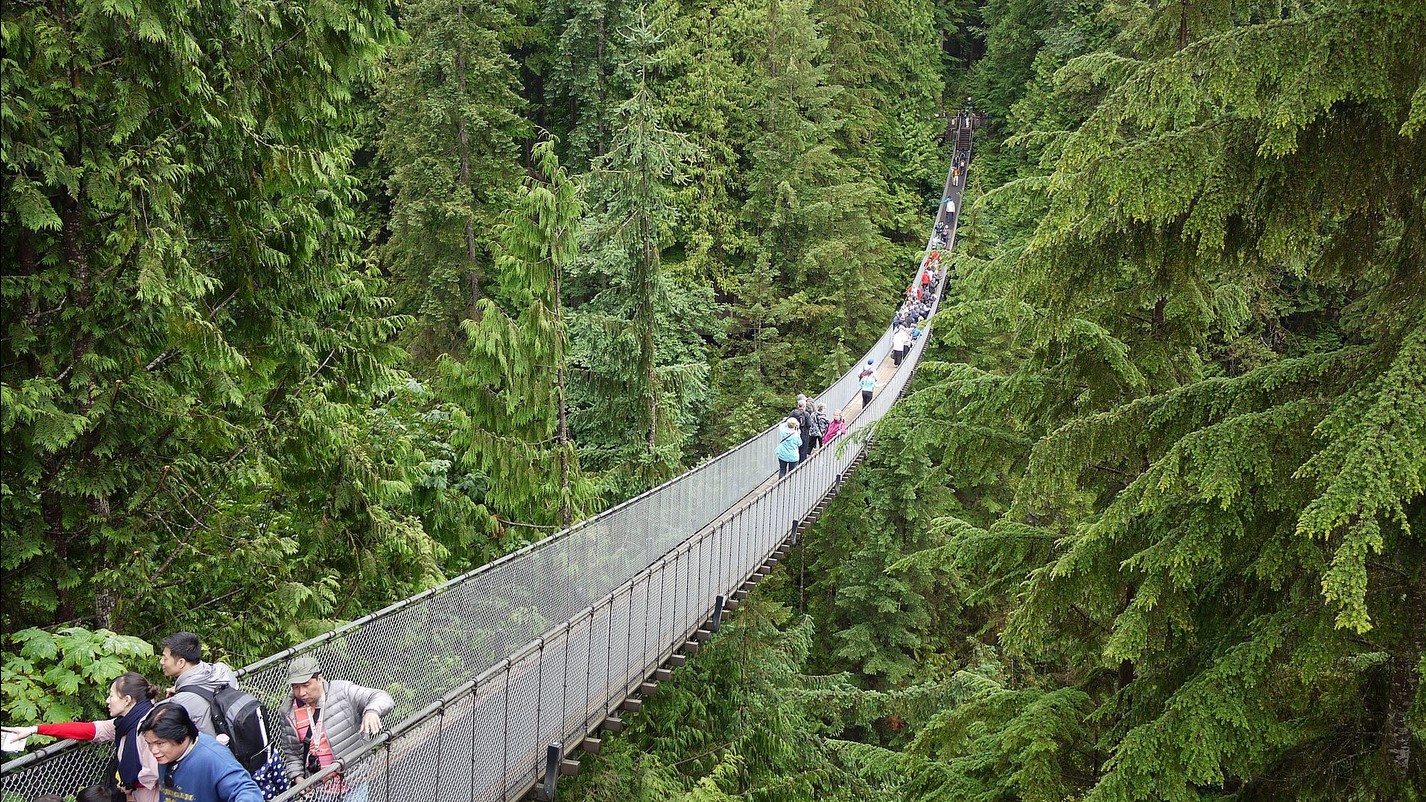 suspension bridge